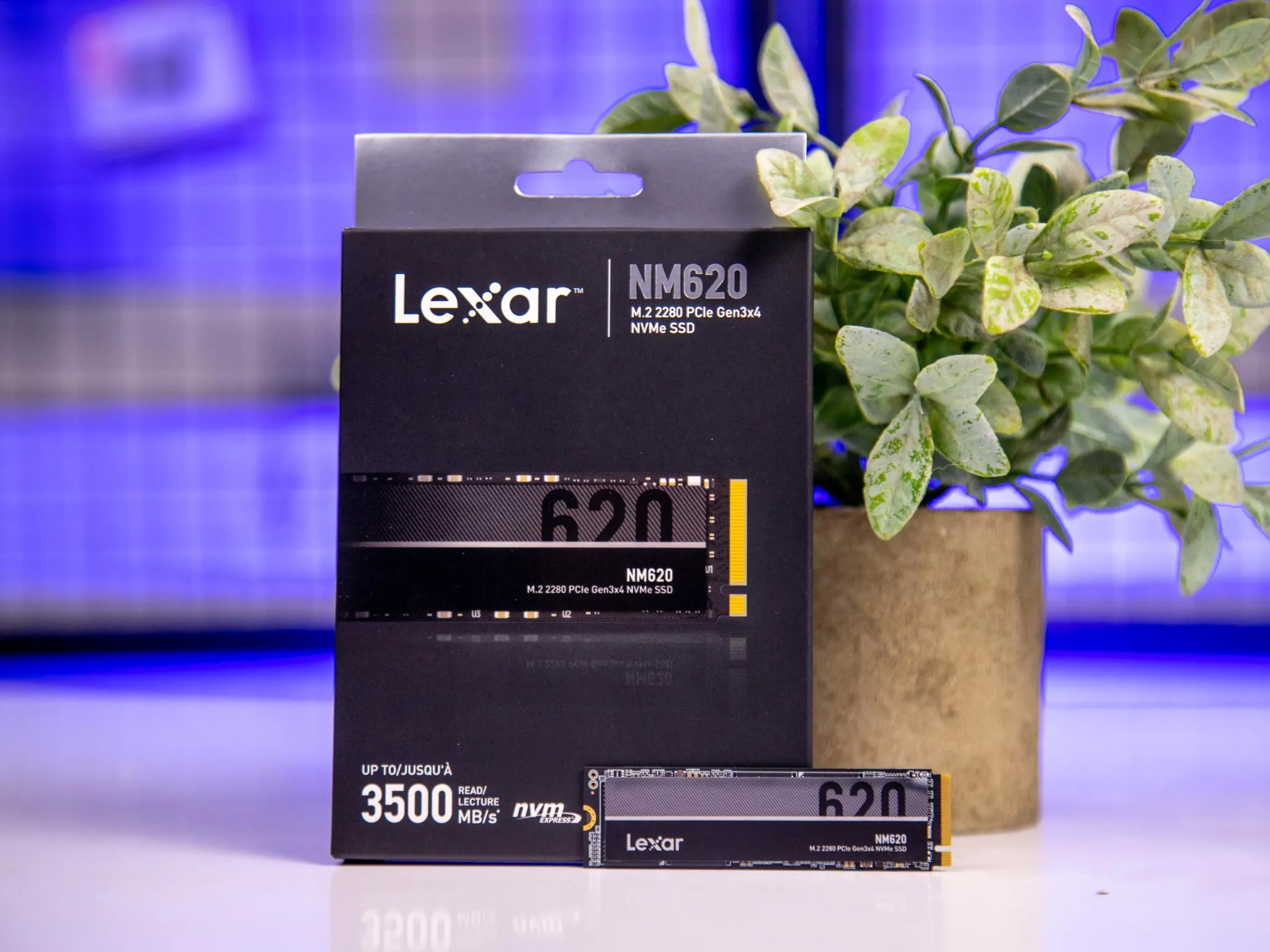 Ổ Cứng SSD Lexar M2 256GB NVMe Gen3x4 (LNM620X256G-RNNNG)